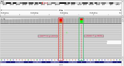 Successful treatment of lung adenocarcinoma complicated with a rare compound EGFR mutation L833V/H835L using aumolertinib: a case report and literature review